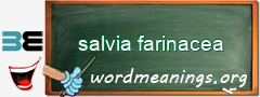 WordMeaning blackboard for salvia farinacea